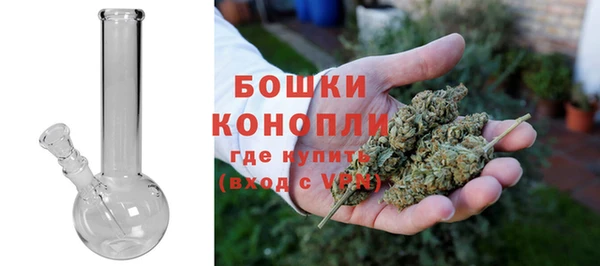 амф Осташков