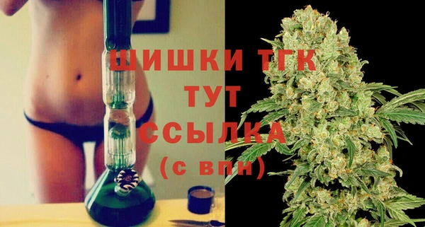 амф Осташков