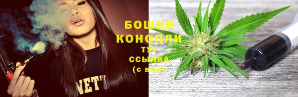 амф Осташков